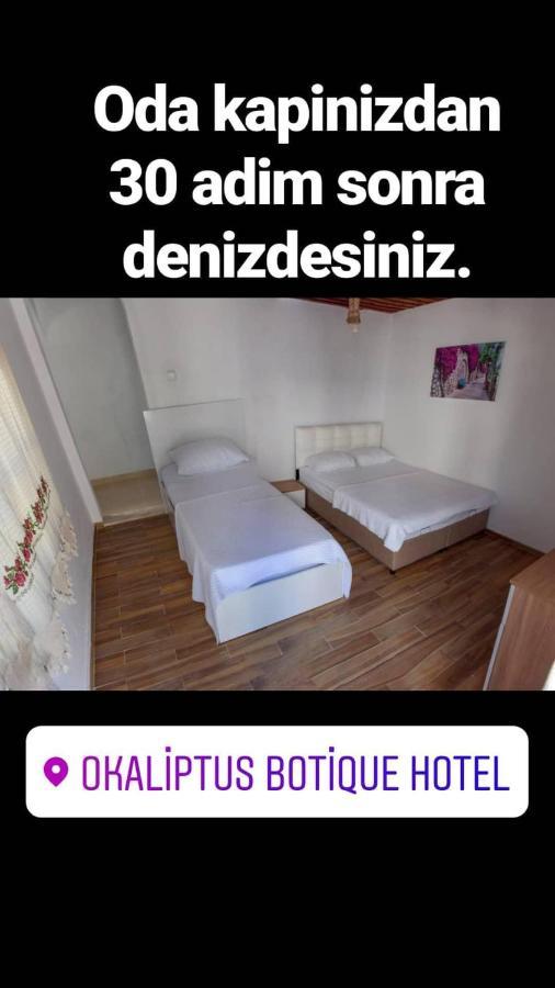 Okaliptus Butik Hotel เฟทิเย ภายนอก รูปภาพ